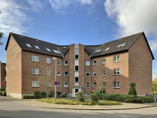 Single wohnung in wolfsburg